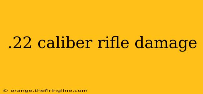 .22 caliber rifle damage