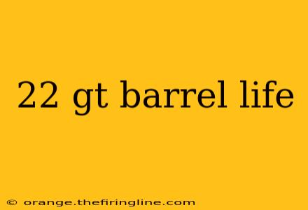 22 gt barrel life