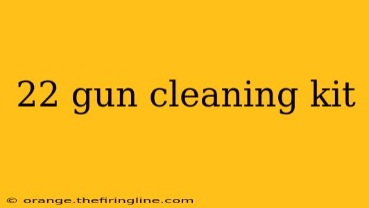 22 gun cleaning kit