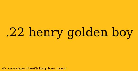 .22 henry golden boy