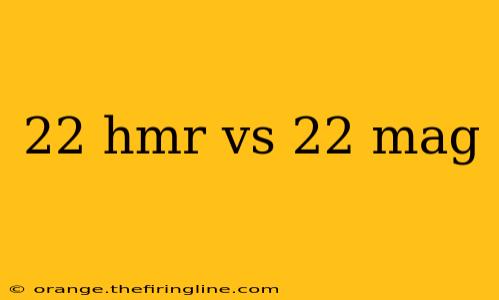 22 hmr vs 22 mag