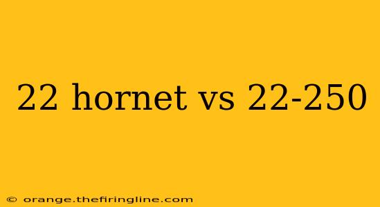 22 hornet vs 22-250