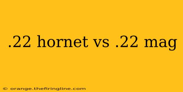 .22 hornet vs .22 mag