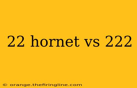 22 hornet vs 222