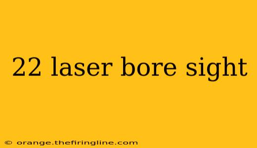 22 laser bore sight