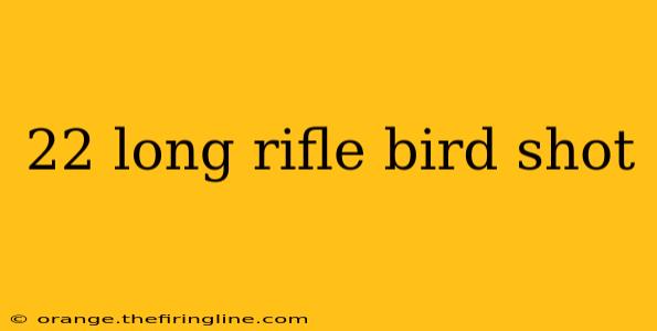 22 long rifle bird shot