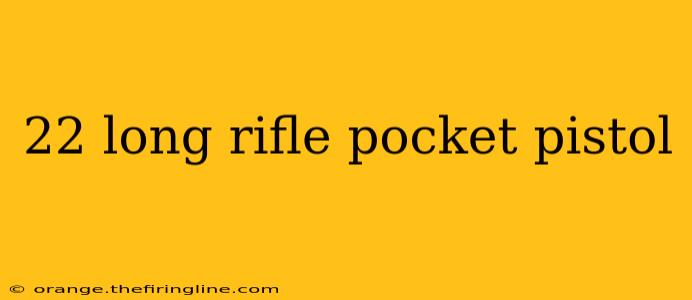 22 long rifle pocket pistol