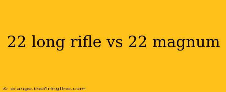 22 long rifle vs 22 magnum