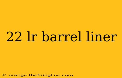 22 lr barrel liner