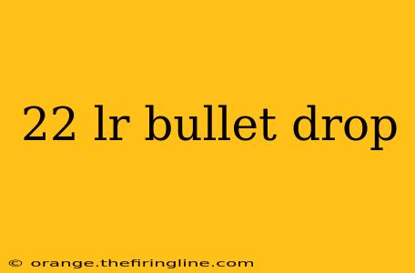 22 lr bullet drop