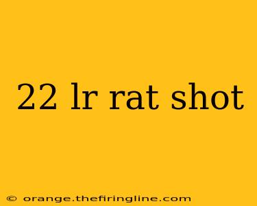 22 lr rat shot