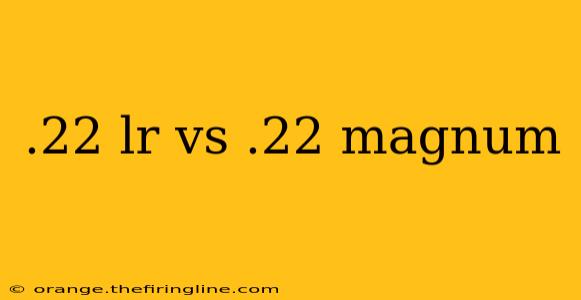 .22 lr vs .22 magnum