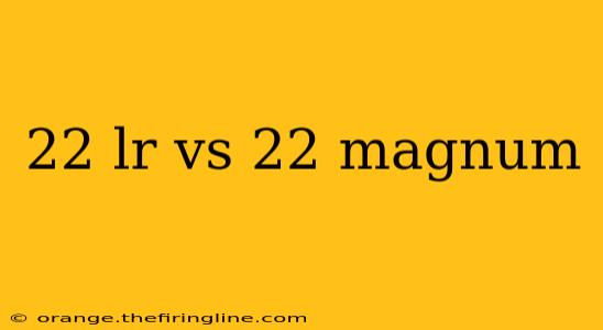 22 lr vs 22 magnum