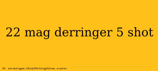 22 mag derringer 5 shot