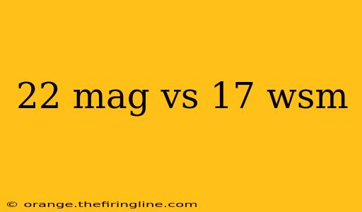 22 mag vs 17 wsm