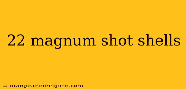 22 magnum shot shells