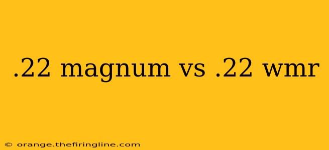 .22 magnum vs .22 wmr