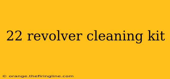 22 revolver cleaning kit