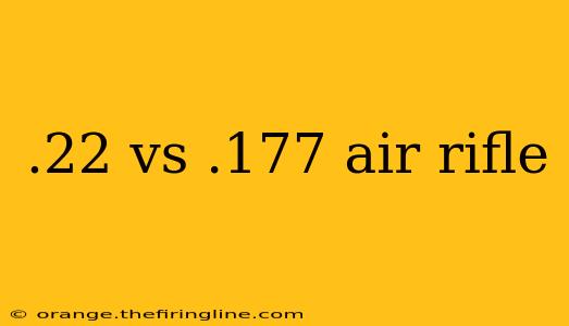 .22 vs .177 air rifle