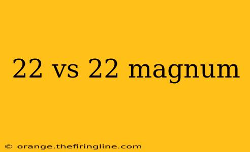 22 vs 22 magnum