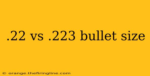 .22 vs .223 bullet size