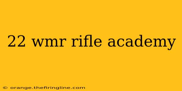 22 wmr rifle academy