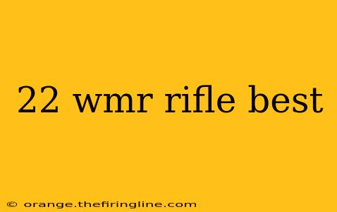 22 wmr rifle best