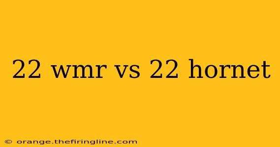 22 wmr vs 22 hornet