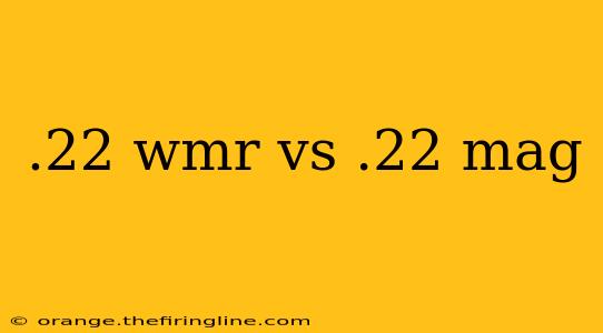 .22 wmr vs .22 mag