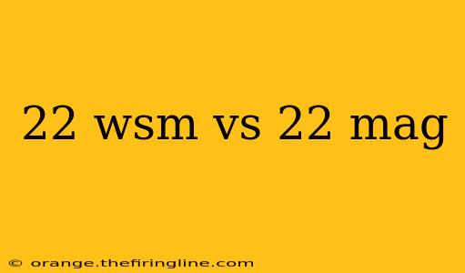 22 wsm vs 22 mag