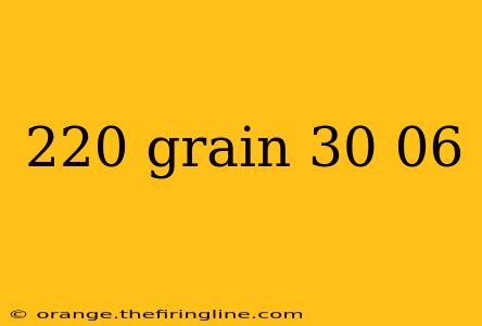 220 grain 30 06