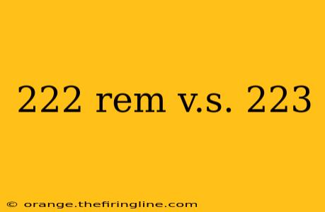 222 rem v.s. 223