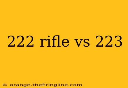 222 rifle vs 223