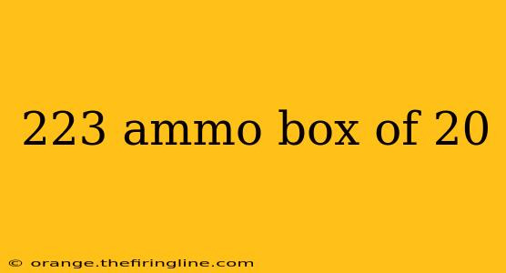 223 ammo box of 20