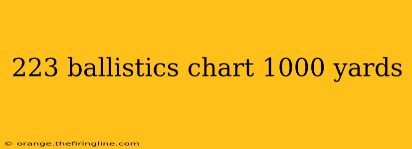 223 ballistics chart 1000 yards