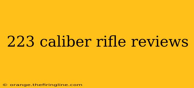 223 caliber rifle reviews