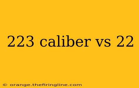 223 caliber vs 22