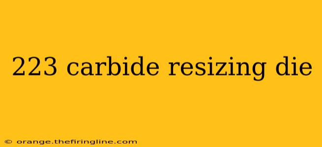 223 carbide resizing die