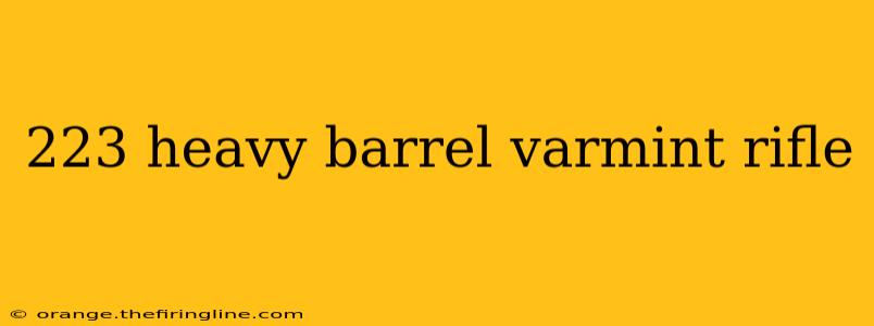 223 heavy barrel varmint rifle