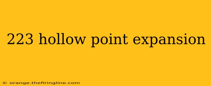 223 hollow point expansion