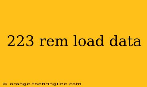 223 rem load data