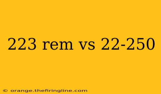 223 rem vs 22-250