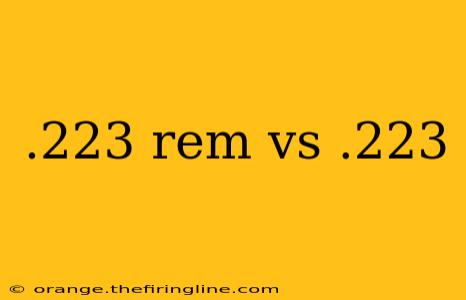 .223 rem vs .223