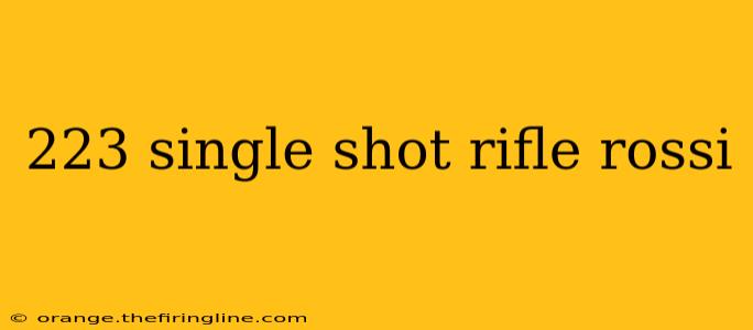 223 single shot rifle rossi