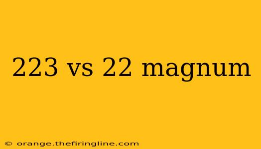 223 vs 22 magnum