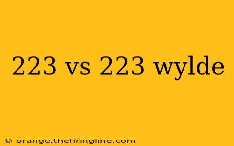 223 vs 223 wylde