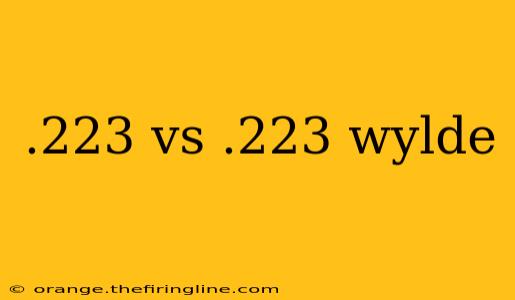 .223 vs .223 wylde