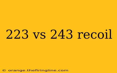 223 vs 243 recoil