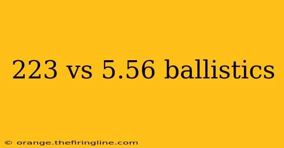 223 vs 5.56 ballistics