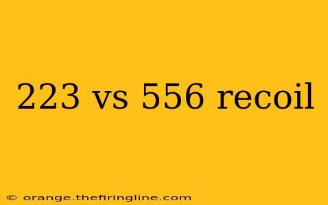 223 vs 556 recoil